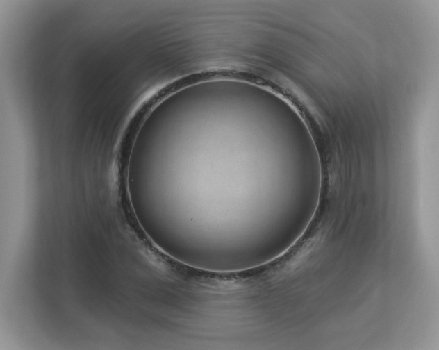 X0000112940975200908241317