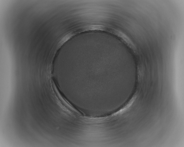 X0000112940977200908241317