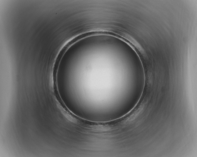 X0000112940980200908241317