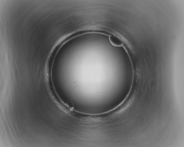 X0000112940981200908241317
