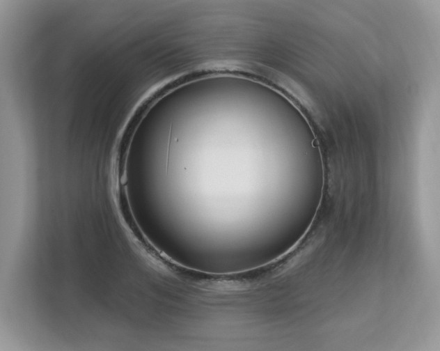 X0000112940984200908241317