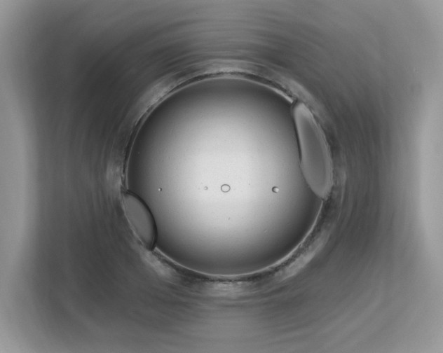 X0000112940985200908241317