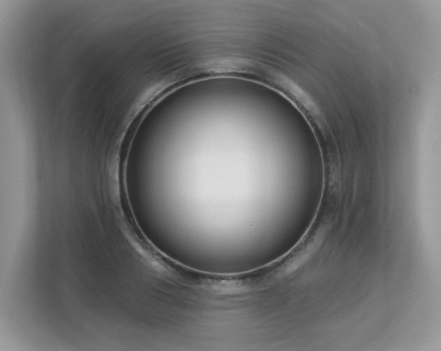X0000112940986200908241317