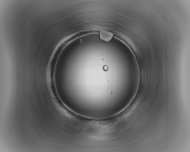 X0000112940987200908241317