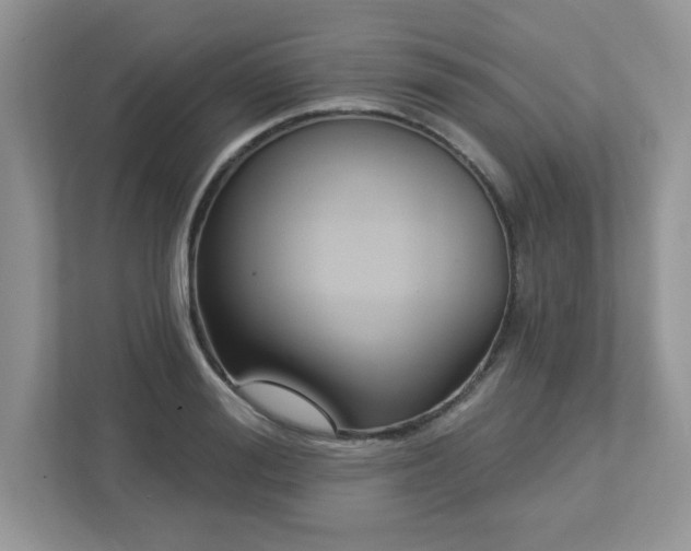 X0000112940988200908241317