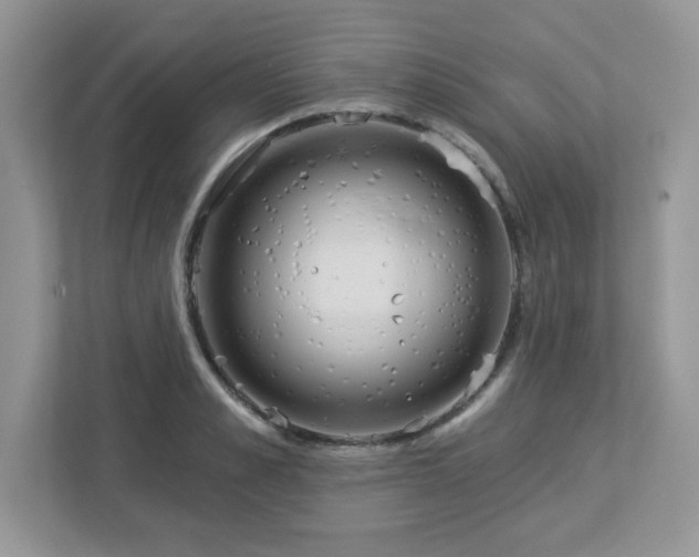 X0000112940989200908241317