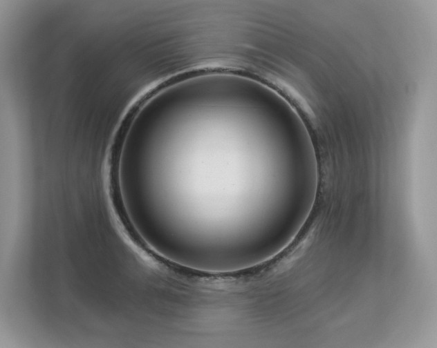 X0000112940991200908241317