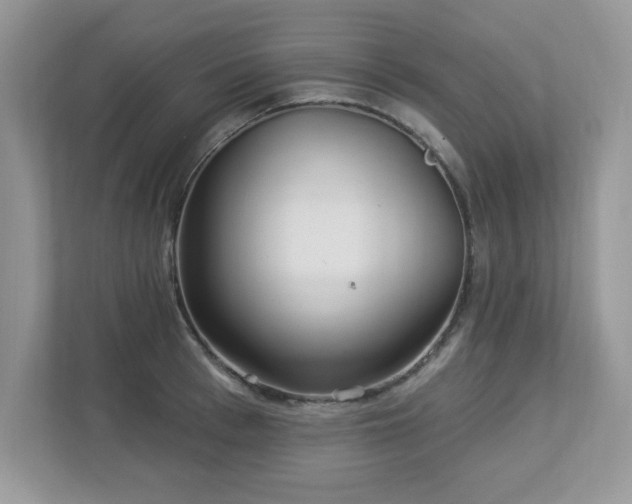 X0000112940993200908241317