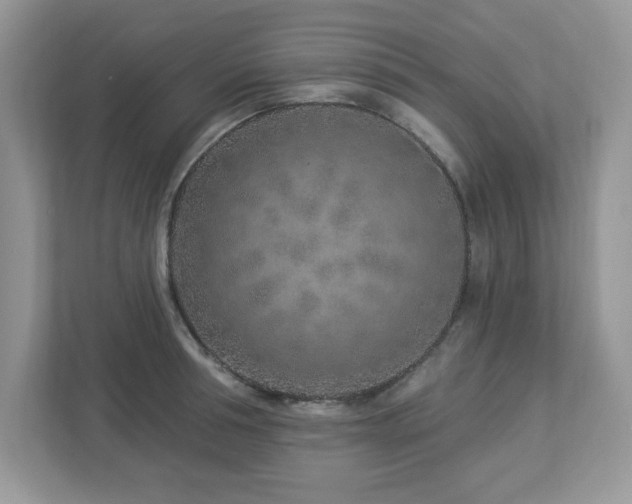 X0000112940994200908241317