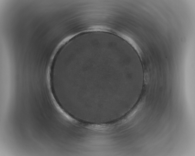 X0000112940995200908241317
