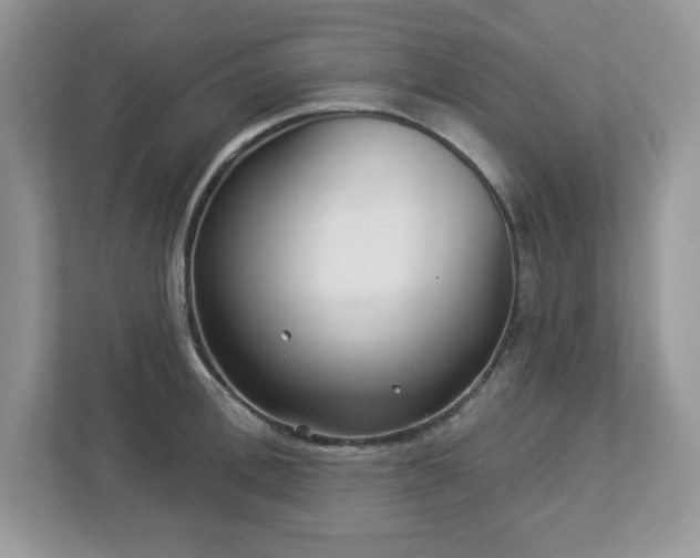 X0000112940996200908241317