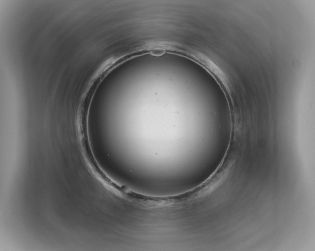 X0000112940997200908241317