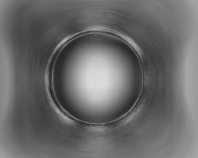 X0000112940999200908241317