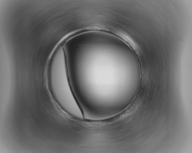 X0000112941000200908241317