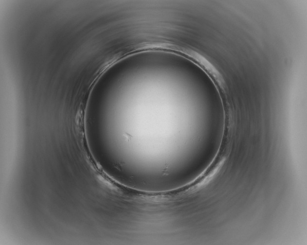 X0000112941001200908241317