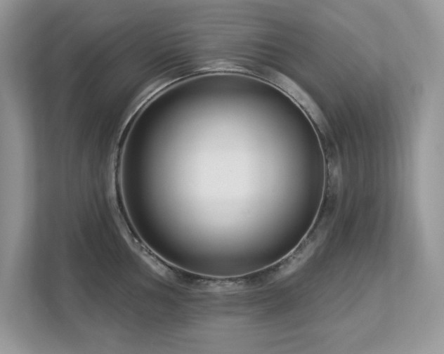 X0000112941002200908241316