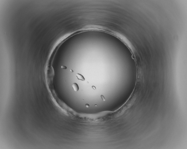 X0000112941003200908241316