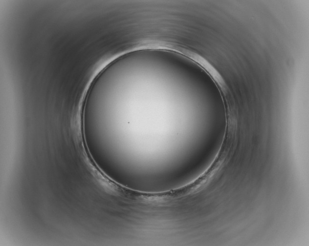 X0000112941004200908241316