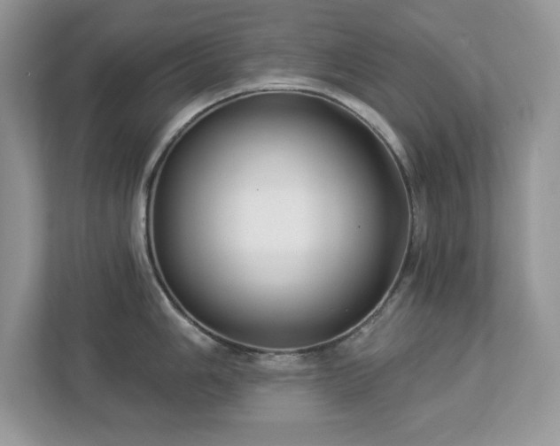 X0000112941006200908241316
