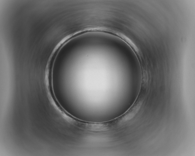 X0000112941007200908241316
