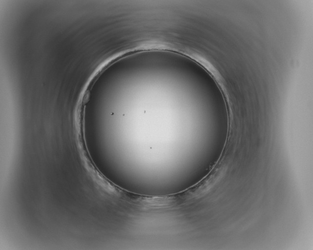 X0000112941008200908241316