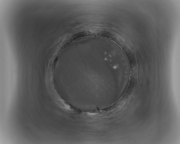 X0000112941009200908241316