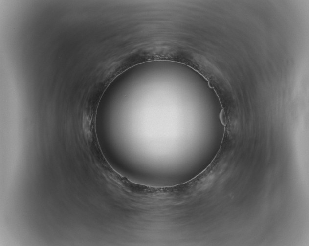 X0000112941010200908241316