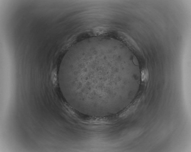 X0000112941011200908241316