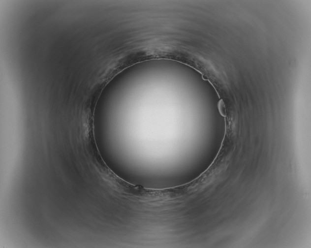 X0000112941012200908241316