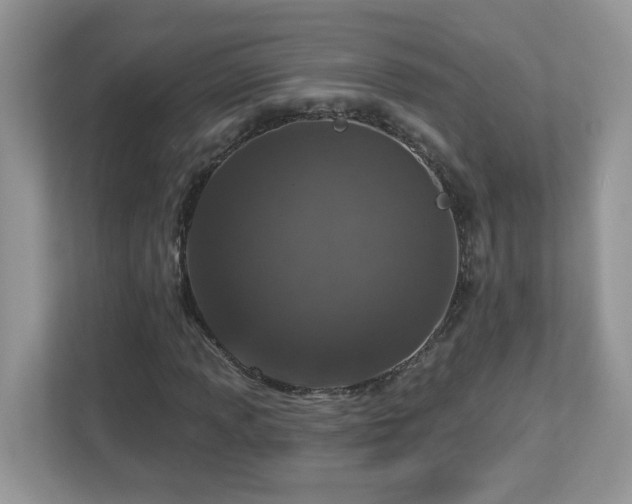 X0000112941013200908241316