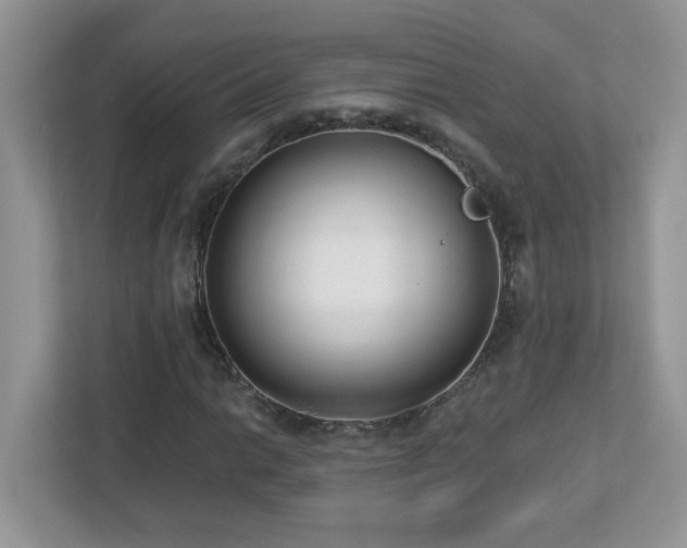 X0000112941014200908241316