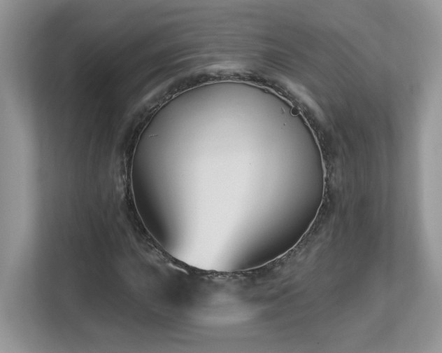 X0000112941015200908241316