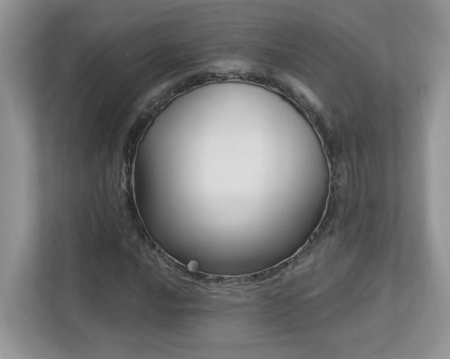 X0000112941016200908241316