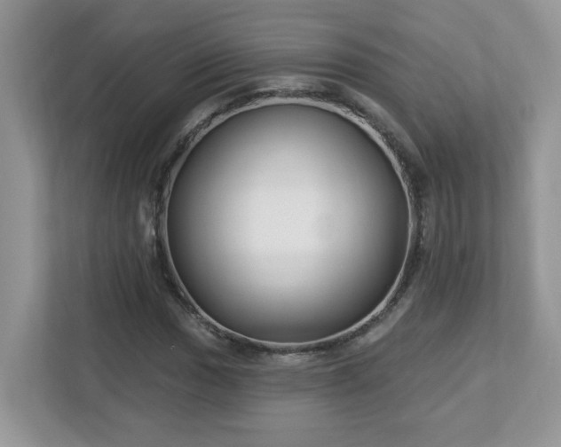 X0000112941017200908241316