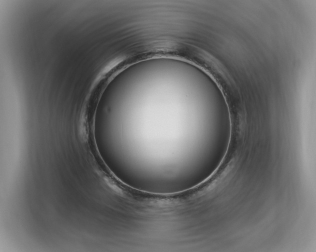 X0000112941018200908241316