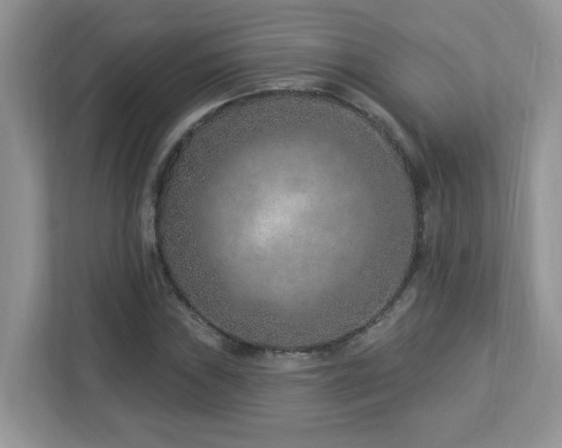 X0000112941019200908241316