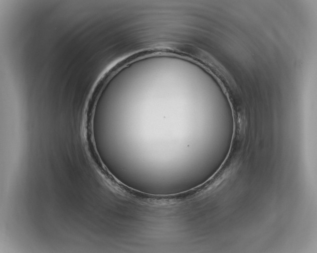 X0000112941020200908241316