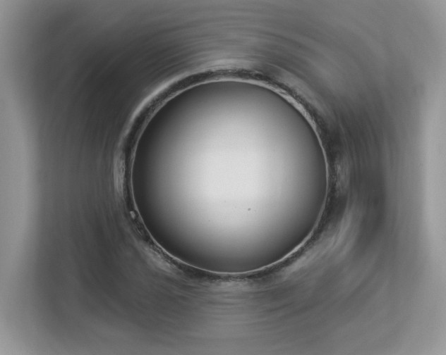 X0000112941021200908241316