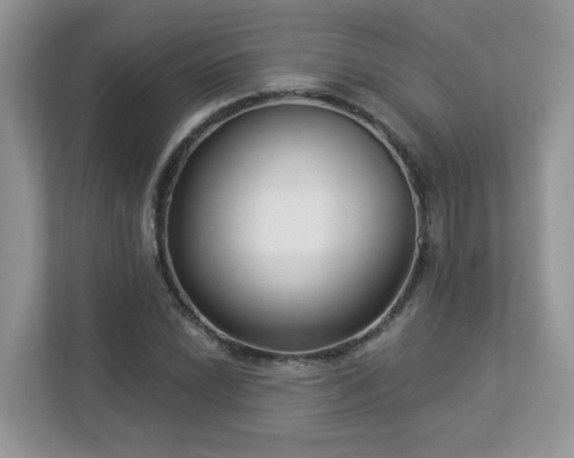 X0000112941022200908241316