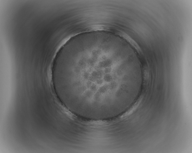 X0000112941023200908241316