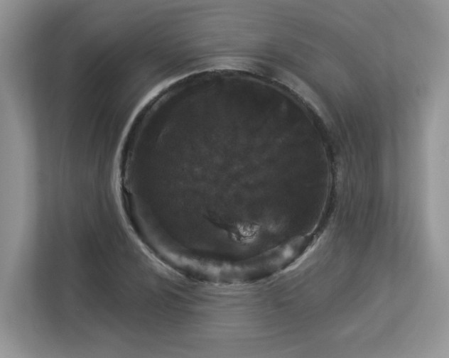 X0000112941024200908241316