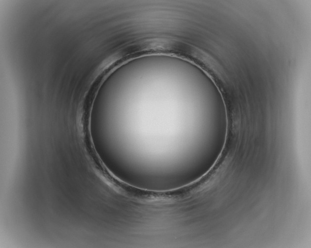 X0000112941026200908241316