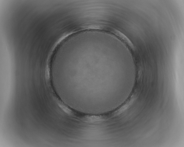 X0000112941027200908241316