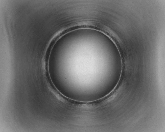 X0000112941029200908241316