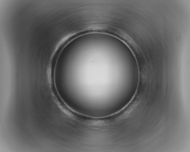 X0000112941030200908241316