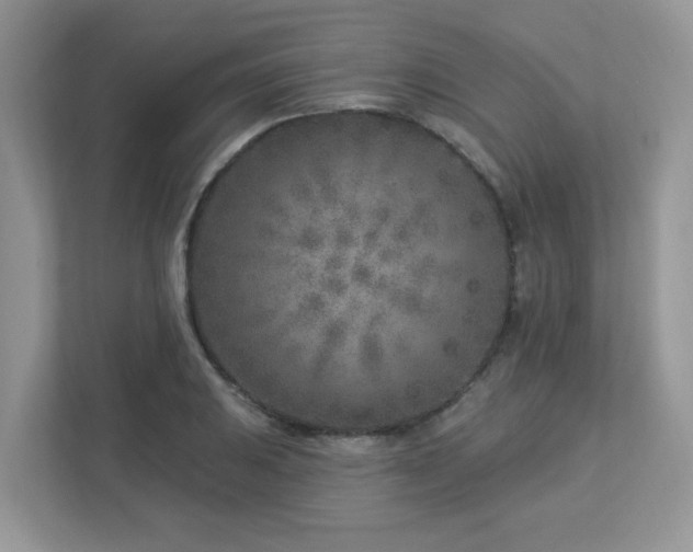 X0000112941031200908241316