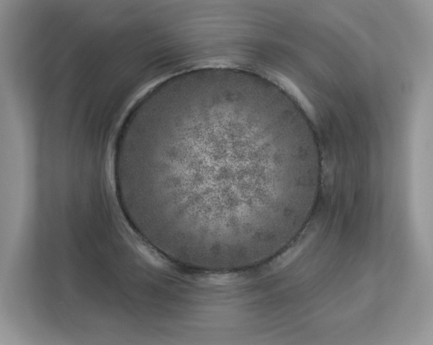 X0000112941035200908241316