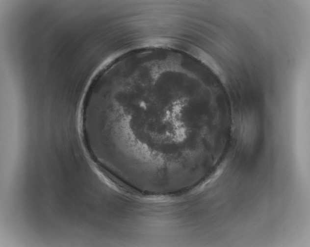 X0000112941037200908241316
