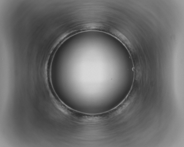 X0000112941039200908241316