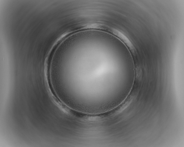 X0000112941043200908241316